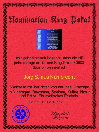 King Award Nominationsurkunde JMHS