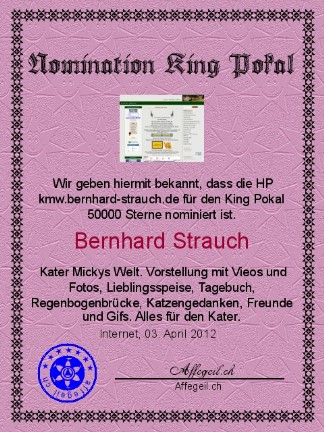 King Award Nominationsurkunde KMW Bernhard Strauch