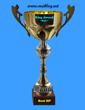 King Award Pokal Meiblog