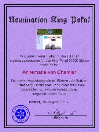 King Award Nominationsurkunde Stadtmaus